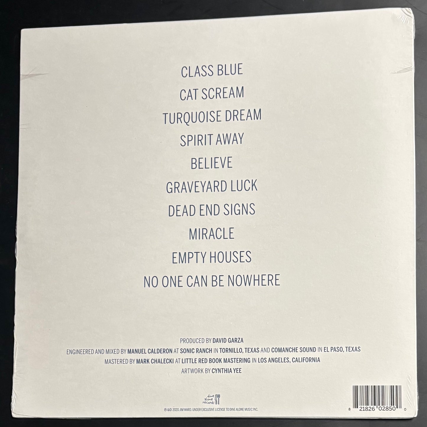 SPARTA - TRUST THE RIVER (SWIRL) LP